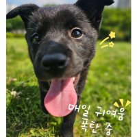 O-reo (@oreo250708) 's Twitter Profile Photo O-reo (@oreo250708) 's Twitter Profile Photo