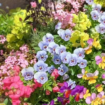 sid_o_ban's profile picture. 🌈音楽・アニメが大好きなシングルお爺ちゃんです
関東在住の娘に年2回程キャンプに連れて行ってもらうのが最高の幸せです🥰
🥲慢性腎不全で週３回の透析治療中💉
空、花、料理の写真をスマホで撮影して載せてますので♥いいね , リプ喜びます😀
❌エロ・投資関係はお断りしてます❌