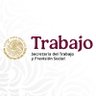 STPS_mx's profile picture. Secretaría del Trabajo y Previsión Social - La transformación laboral es un hecho.
