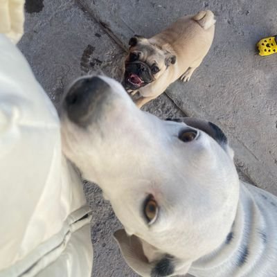 camiker's profile picture. FB