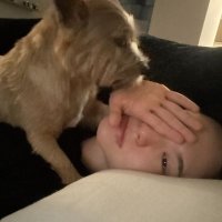 🅰️qilla (@starsofsilence) 's Twitter Profile