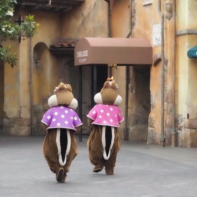 hidenide06321's profile picture. パークで写真撮るひと / 日常のつぶやき