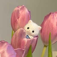 7ao (@_n0a7u) 's Twitter Profile Photo