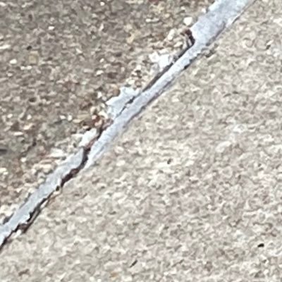 w11123321's profile picture. 