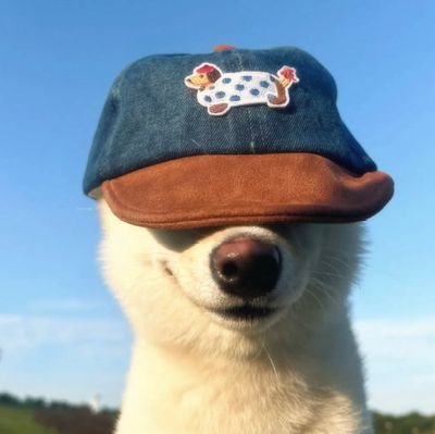 반0 Profile