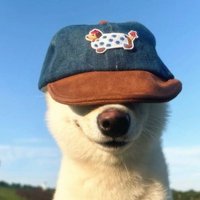 반5 (@b0vier) 's Twitter Profile Photo 반5 (@b0vier) 's Twitter Profile Photo