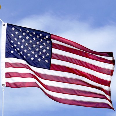 trumpwonall3's profile picture. 