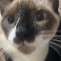 m (@bdmerb) 's Twitter Profile