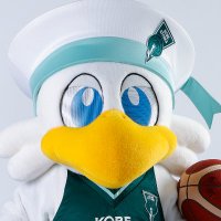 【公式】ストーキー(神戸ストークス) (@storky_078) 's Twitter Profile Photo 【公式】ストーキー(神戸ストークス) (@storky_078) 's Twitter Profile Photo