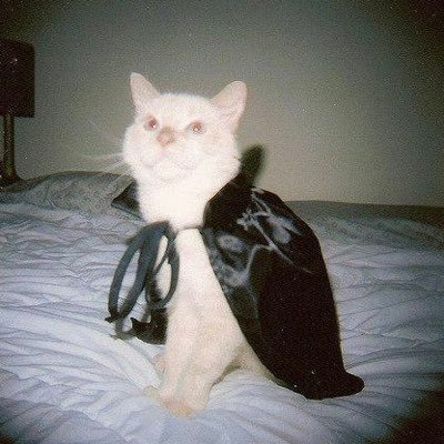dərbyさんのプロフィール画像