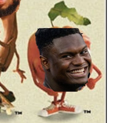 PelsPulse's profile picture. 