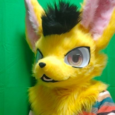 🎉Coyote Fuur🌈💛🏳️‍🌈🇬🇧さんのプロフィール画像