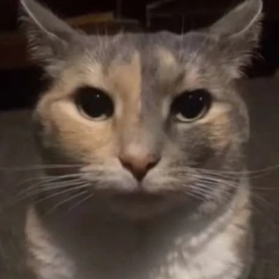 JerryUnknown65's profile picture. bro just typing shi fr // he/him // learning how to draw // ✊🏾✊🏾✊🏾// minor