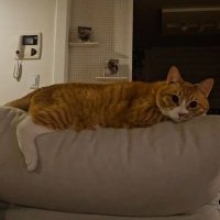 te :(: (@dddumber) 's Twitter Profile