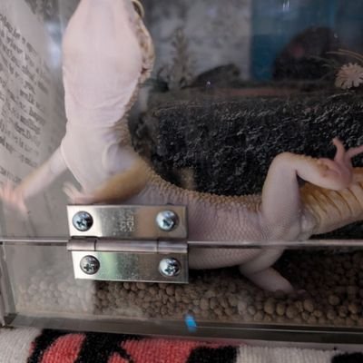 _ONE_1_ENO_'s profile picture. 一寸先はワートリ沼 vl s1 📕