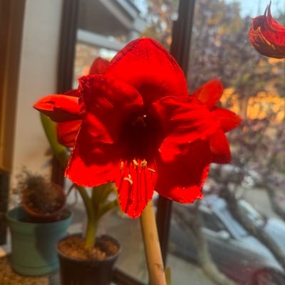 Hair Designer/Interested in Integrated Beauty/Health
