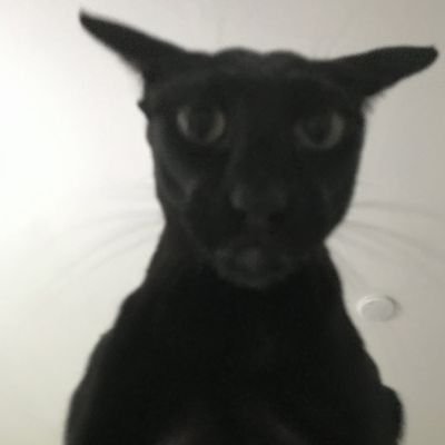 evilllarry's profile picture. father figure🔥
