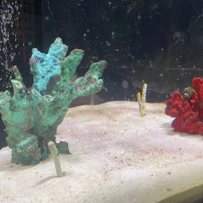 mina__webdesign's profile picture. webデザイナーを目指して勉強中📚