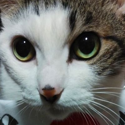 nadamikineko's profile picture. 🐶😺・🏉・イエモン・美術館大好き💕Gﾃﾞｻﾞｲﾝが生業✨
真の日本を取り戻せますように✨氣づき🇯🇵🐲☀️🌈✨
ラグビー&イエモンファンの皆さんと繋がりたい💕ワイルドナイツファン💙⚔️🏉
争い、暴言は🥦します!
DMのやり取りは信頼出来る方のみ
福井県