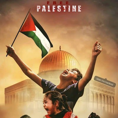 FSyed40906's profile picture. Full stack developer