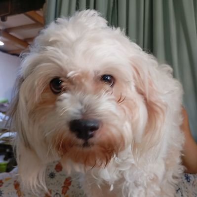 Purple_skyπππ Profile