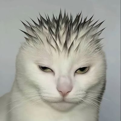 Odr4noell's profile picture. vício, perversão e socialismo