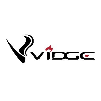 @VidgeWiseco