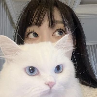 MULFAND GIRLS K-POP 🦫☀️
follow Insta : @niniar_11
Min Yoongi 👩❤️ #Jennie @JennieRubyJane
#BTS #BLACKPINK #GOT7 #2PM #P1HARMONY #PLAVE #DAY6
