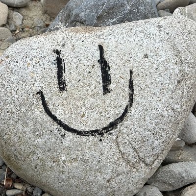 Rockeater5000's profile picture. 19, likes collecting rocks and sometimes drawing smileys on them with charcoal.