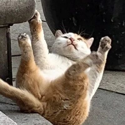 오예..さんのプロフィール画像