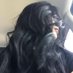 ariel (@alrightariell) Twitter profile photo ariel (@alrightariell) Twitter profile photo