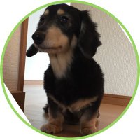 たぬき タツマル（ドュクドゥワ）🌾👾▷11/12GHOST参戦 on X: 