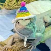 M (@0922strkz) 's Twitter Profile Photo