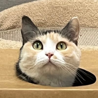 solang121993's profile picture. 🍏