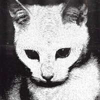 Panav (@_avha_) 's Twitter Profile