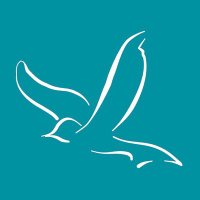 Flying High CIC (@flyinghighcic) 's Twitter Profile Photo Flying High CIC (@flyinghighcic) 's Twitter Profile Photo