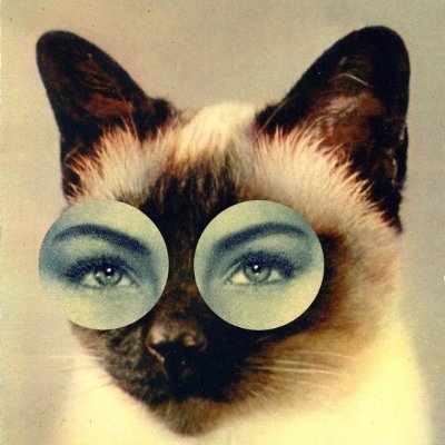 unlisteditem's profile picture. chaotic good