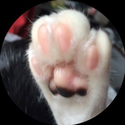☝️愛猫の手🐈☝️ガンダム.勇者シリーズ.ミニ四駆.モンハン. 虹(かすみん)蓮ノ空(綴理)イキズラ(真緑)遊戯王.ラブカ.GCG.ガンダムウォー.ポケモンTIGER&BUNNY ファフナー ✒️高田明美さん桂正和さん、✏️趣味.サントラ集め&フィギュア 佐々木琴子&アッシュくん好き たまに無言フォロー