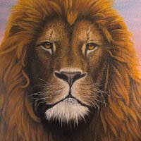 Artax (@allthethings79) 's Twitter Profile