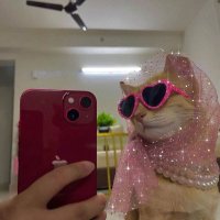 hipp hipp hura hura huuu (@leleeennnnnn) 's Twitter Profile