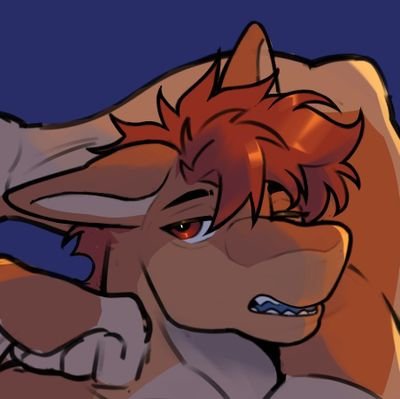 Shork | Finnegan 🦈 | Suggestive art