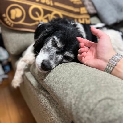 LR1532's profile picture. There is no one here.