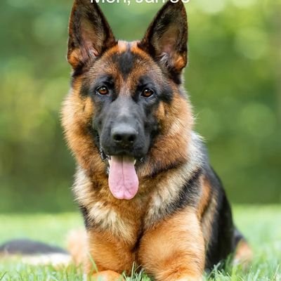 HamidSempr15185's profile picture. Pioneering the intersection of crypto and AI. Focused on defi & tech and machine learning to build a more equitable, intelligent future. Earn, Learn, an Retun!