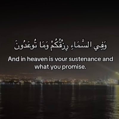 kiowlq's profile picture. 