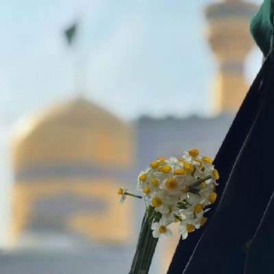 |مجنون نجف،
دانشجوی مملکت؛
تکیه بر یقینا کله خیر،
شیفته تماشای ماه|✨🌙