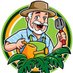 Plantophiles (@plantophileshq) Twitter profile photo Plantophiles (@plantophileshq) Twitter profile photo