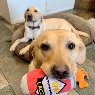 kateri354's profile picture. peace ✌️