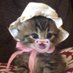 دامبول السلطنه (@privateukauka) Twitter profile photo دامبول السلطنه (@privateukauka) Twitter profile photo