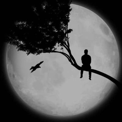 AkantoranaNoah's profile picture. 