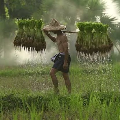 RaituM0595's profile picture. A farmer works in acres, not in hours.